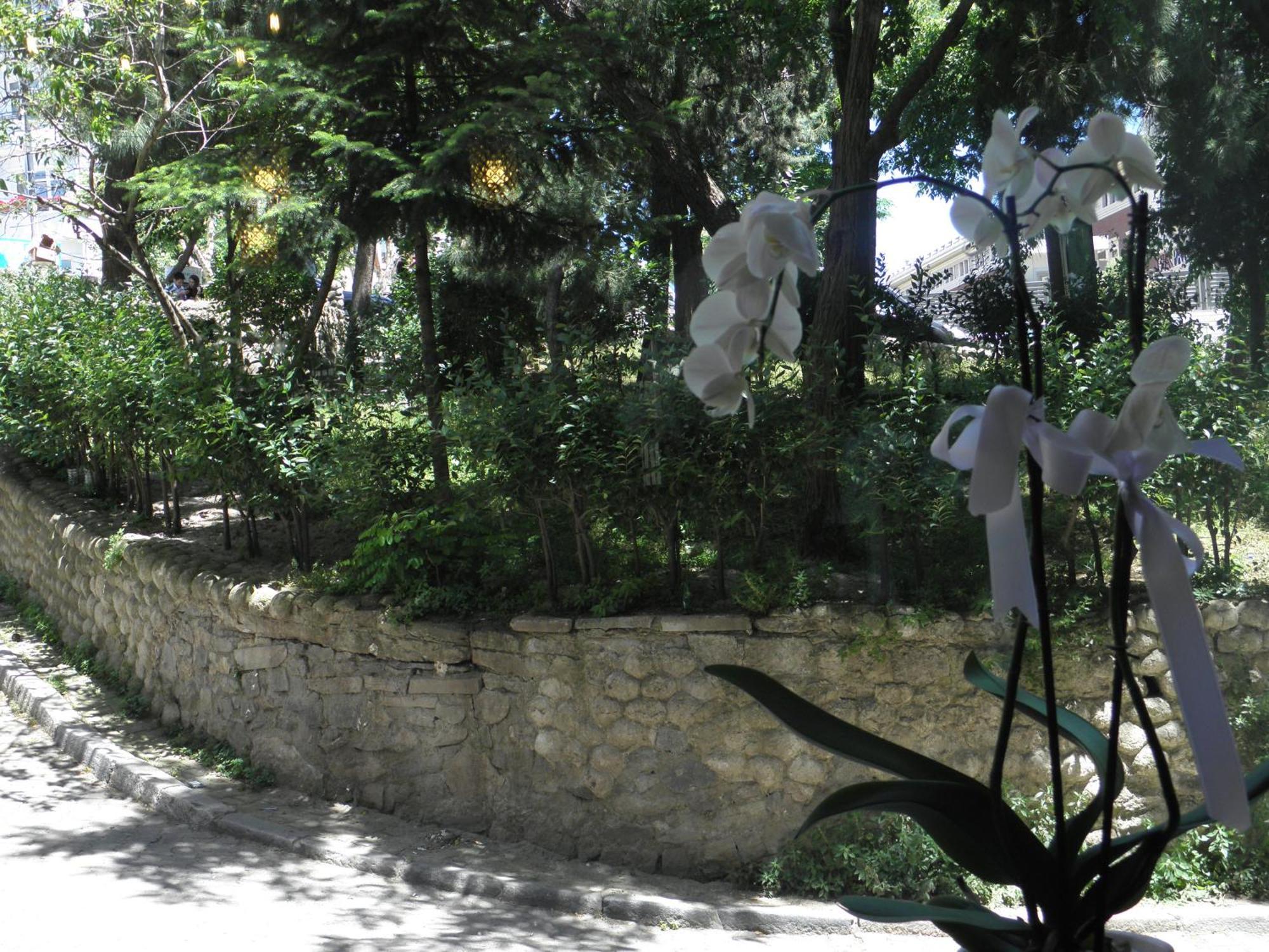 Omar Sultan Park Suites Istanbul Exteriör bild