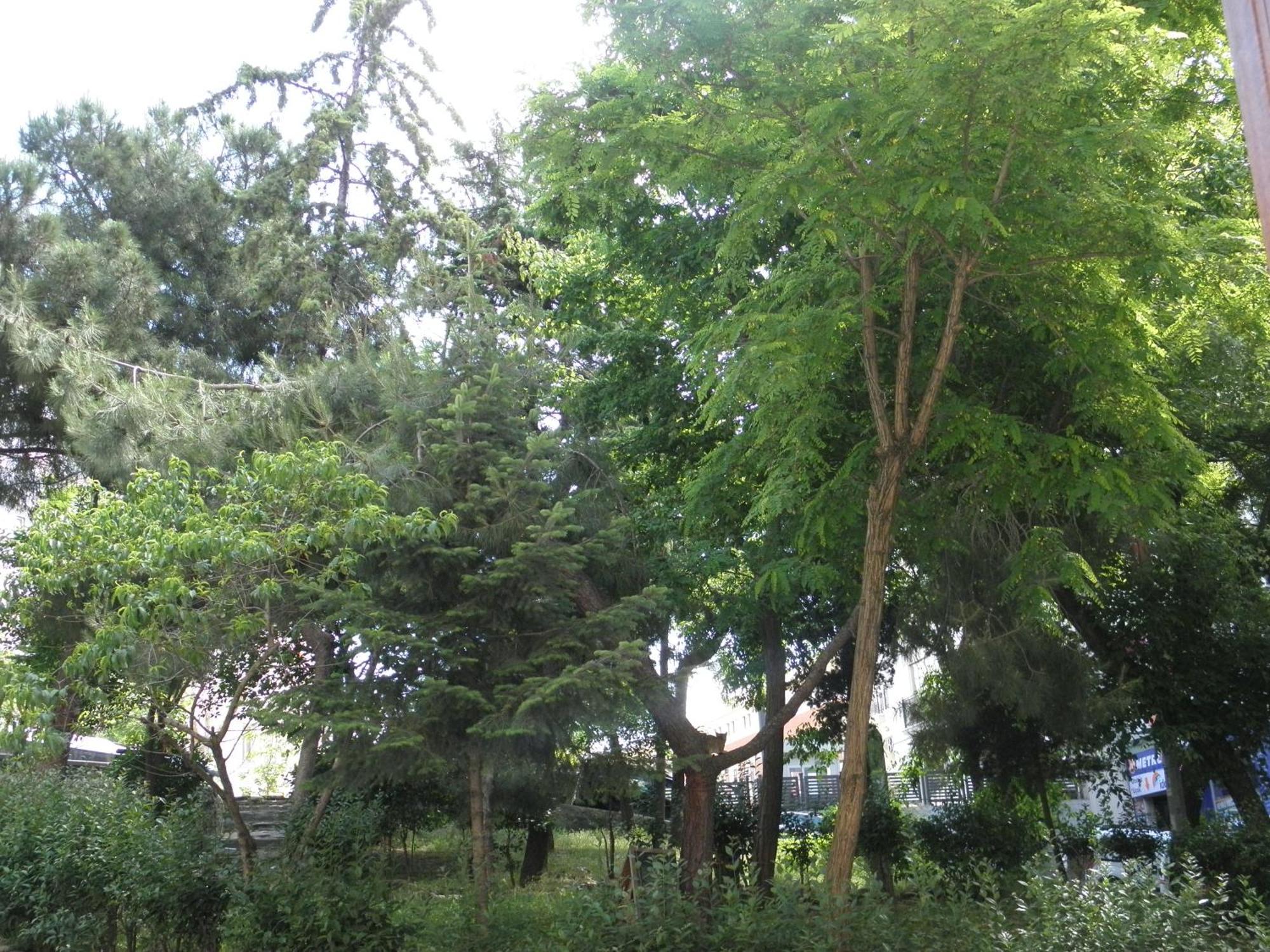 Omar Sultan Park Suites Istanbul Exteriör bild